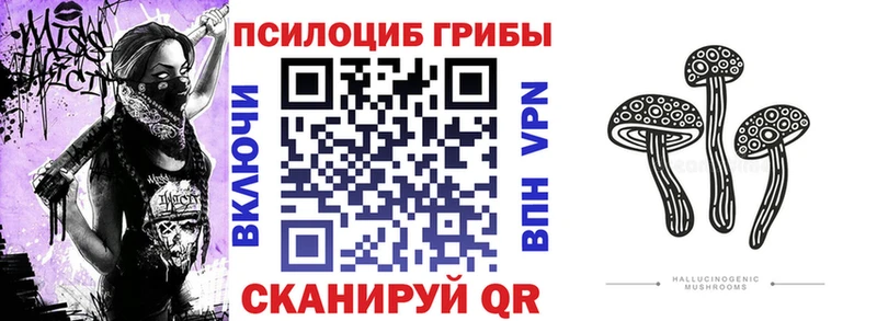 Купить закладки  Сатка  Галлюциногенные грибы ЛСД 